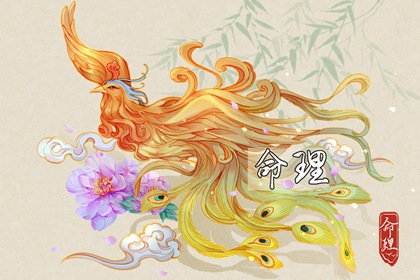 老黄历皇历择吉 择吉皇历老黄历 择吉皇历一万年历